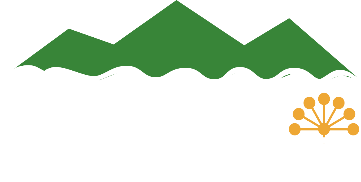 Image title